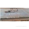 310S Stainless Steel Platete